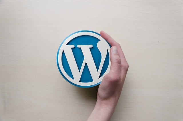 Tout savoir sur les attaques des sites WordPress